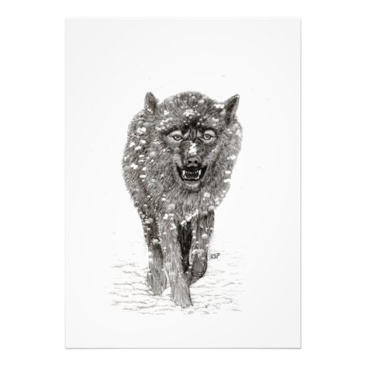 Angry Black Wolf in sneeuw, wilde winter Foto Afdruk (Voorkant)