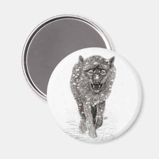 Angry Black Wolf in sneeuw, wilde winter Magneet (Voorkant / Achterkant)