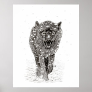 Angry Black Wolf in sneeuw, wilde winter Poster