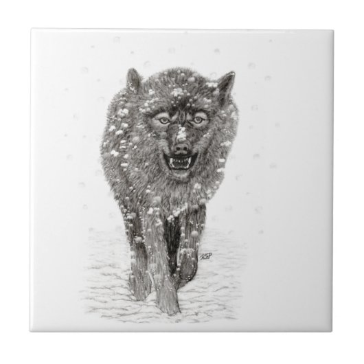 Angry Black Wolf in sneeuw, wilde winter Tegeltje (Voorkant)