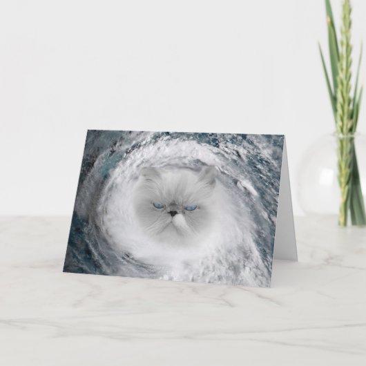 Angry Cat 5 orkaan Kaart (Voorkant)