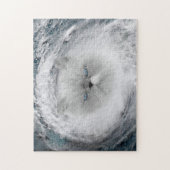 Angry Cat 5 orkaan Legpuzzel (Verticaal)