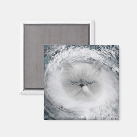 Angry Cat 5 orkaan Magneet (Voorkant / Achterkant)