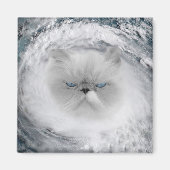 Angry Cat 5 orkaan Magneet (Voorkant)