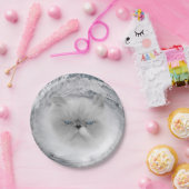 Angry Cat 5 orkaan Papieren Bordje (Feest)