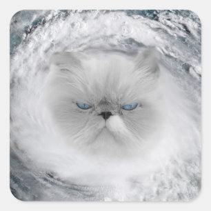 Angry Cat 5 orkaan Vierkante Sticker