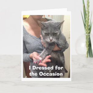 Angry Cat Birthday Card Kaart