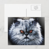 Angry Cat Briefkaart (Voorkant / Achterkant)
