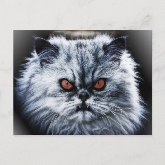Angry Cat Briefkaart (Voorkant)