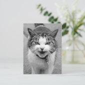 Angry Cat Briefkaart (Staand voorkant)