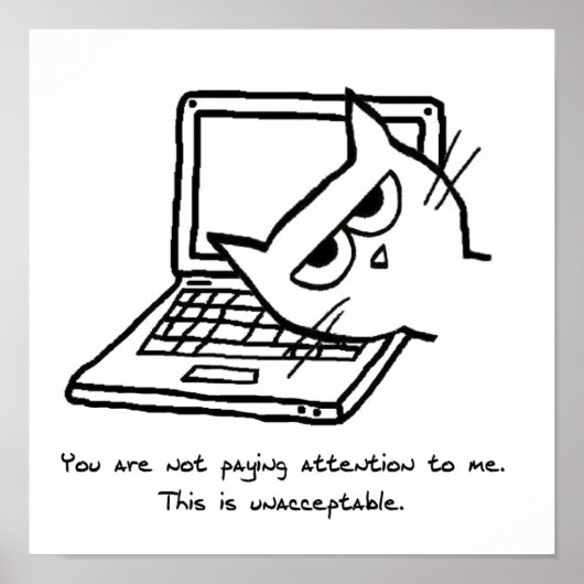 Angry Cat eist aandacht - Funny Cat Poster (Voorkant)