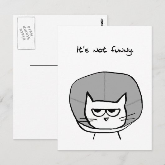 Angry Cat en de kloon van de schaamte Briefkaart (Voorkant / Achterkant)