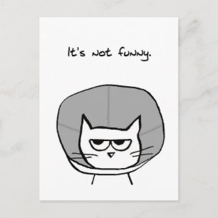 Angry Cat en de kloon van de schaamte Briefkaart