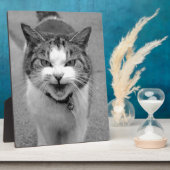 Angry Cat Fotoplaat (Zijkant)