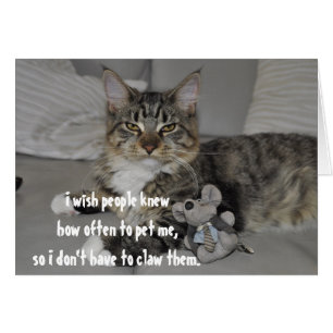 Angry Cat Funny Cute Wenskaart