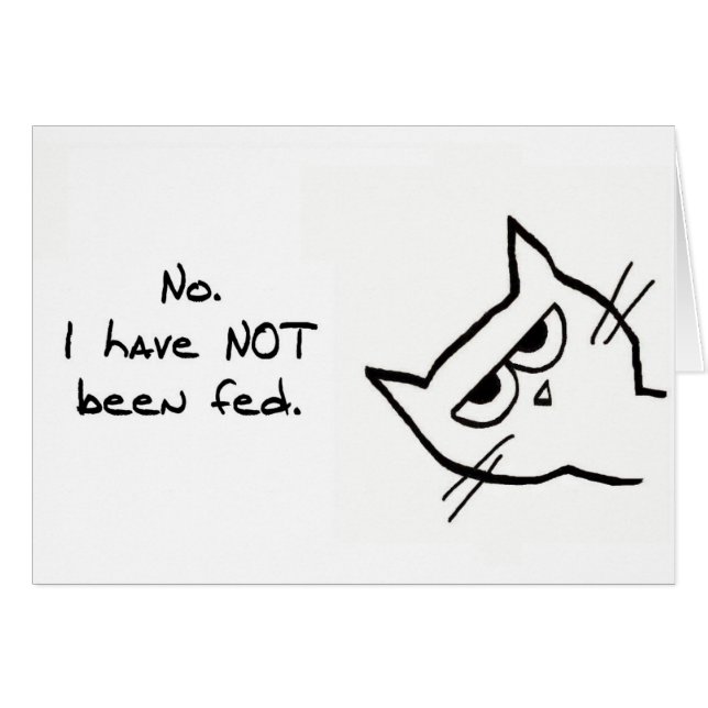 Angry Cat is NIET gevoed! (Voorkant Horizontaal)