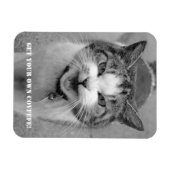 Angry Cat "Krijg je eigen Covfefe!" grappige magne Magneet (Horizontaal)