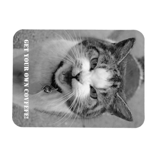 Angry Cat "Krijg je eigen Covfefe!" grappige magne Magneet (Horizontaal)