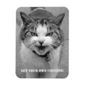 Angry Cat "Krijg je eigen Covfefe!" grappige magne Magneet (Verticaal)