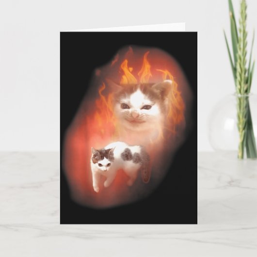 Angry Cat Meme Funny Silly Cat Kitten Lover Humor  Kaart (Voorkant)