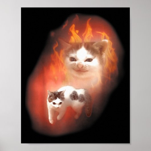 Angry Cat Meme Funny Silly Cat Kitten Lover Humor Poster (Voorkant)