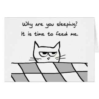 Angry Cat wil je uit bed