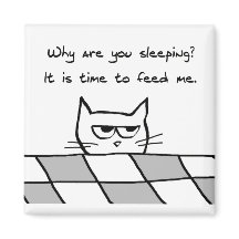 Angry Cat wil je uit bed