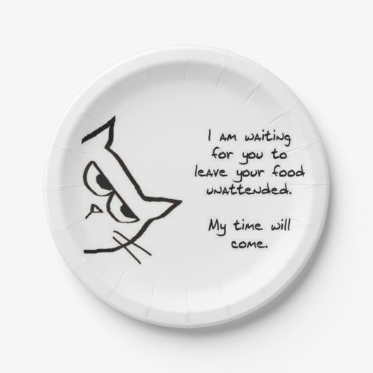 Angry Cat zal je voedsel sturen - grappig papier B Papieren Bordje (Voorkant)