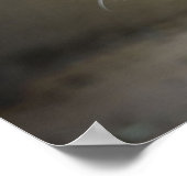 Angry Cougar Poster (Hoek)