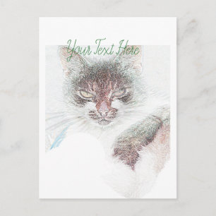 Angry Cute Cate Face Sketch Briefkaart