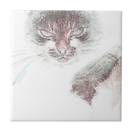 Angry Cute Cate Face Sketch Tegeltje (Voorkant)