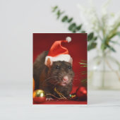 Angry dwerg. briefkaart (Staand voorkant)