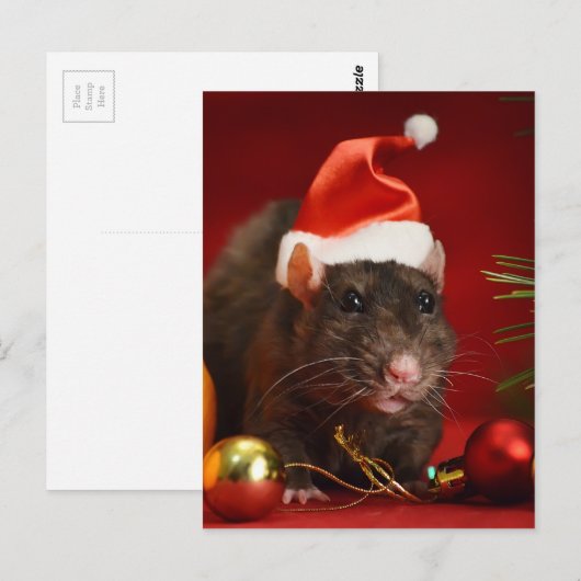 Angry dwerg. briefkaart (Voorkant / Achterkant)