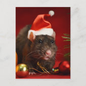 Angry dwerg. briefkaart (Voorkant)