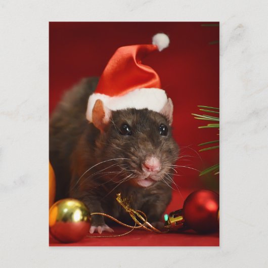 Angry dwerg. briefkaart (Voorkant)