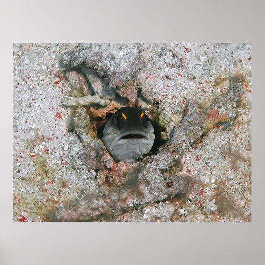 Angry Eyes Poster (Voorkant)