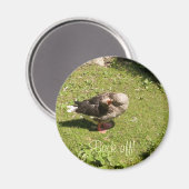 Angry Goose Back Off Magnet (Voorkant / Achterkant)