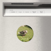 Angry Goose Back Off Magnet (Insitu (Vaatwasser))