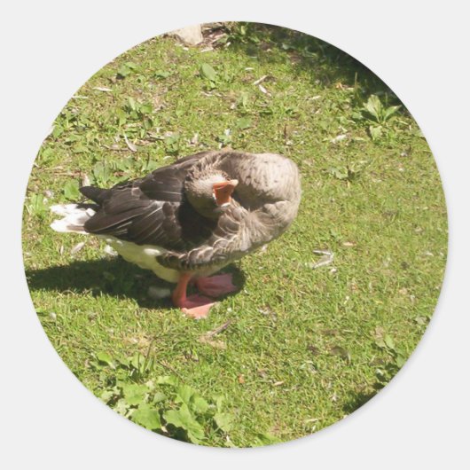 Angry Goose Stickers (Voorkant)