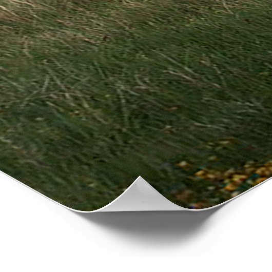 Angry hippo moeder| poster (Hoek)