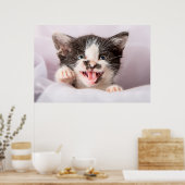 Angry Kitten Poster (Keuken)