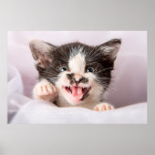 Angry Kitten Poster (Voorkant)