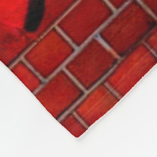 Angry Lion Fleece Deken (Hoek)