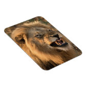 Angry LION koelkast Magnet UW Fotosjabloon Magneet (Rechterzijde)