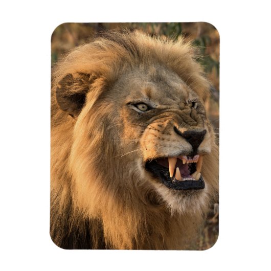 Angry LION koelkast Magnet UW Fotosjabloon Magneet (Verticaal)