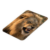 Angry LION koelkast Magnet UW Fotosjabloon Magneet (Linkerzijde)