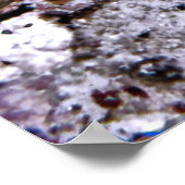 Angry Little Eel Poster (Hoek)