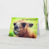 Angry Llama Humoureus 30th Birthday Kaart (Voorkant)