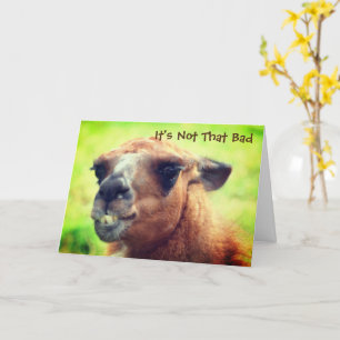 Angry Llama Humoureuze Weer een dag Kaart