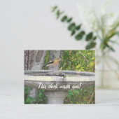 Angry look Bird met je zin Briefkaart (Staand voorkant)